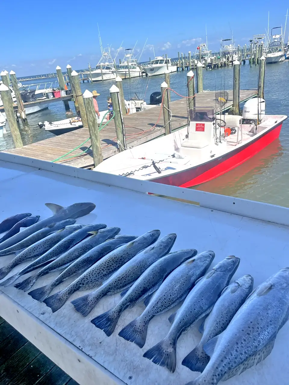 Inshore Fishing